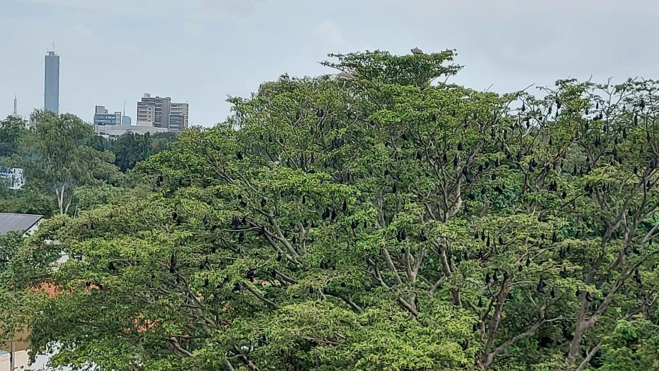 Jays Guest 6B, Rajagiriya Colombo Sri Lanka Hotel Kültér fotó